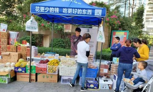 社區(qū)團購轉(zhuǎn)向理性競爭，日用百貨銷售迎高質(zhì)量發(fā)展新機遇